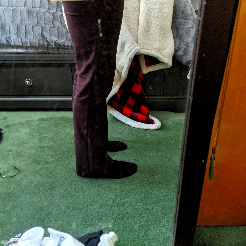 Express Columnist boot cut dress pants